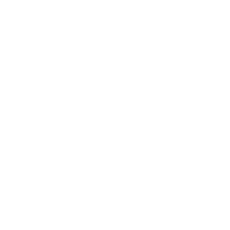 ce logo Plymouth